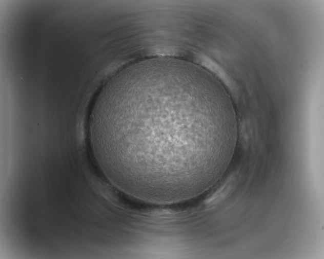 X0000089670203200707051554
