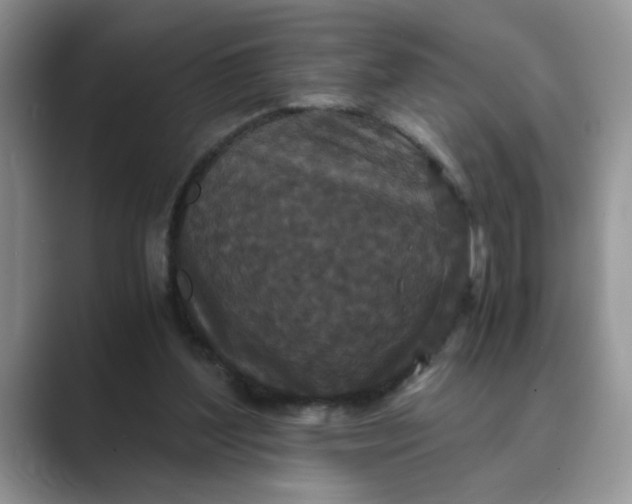X0000089670204200707051554