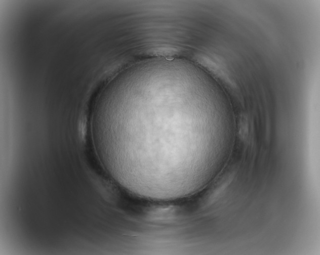 X0000089670206200707051554