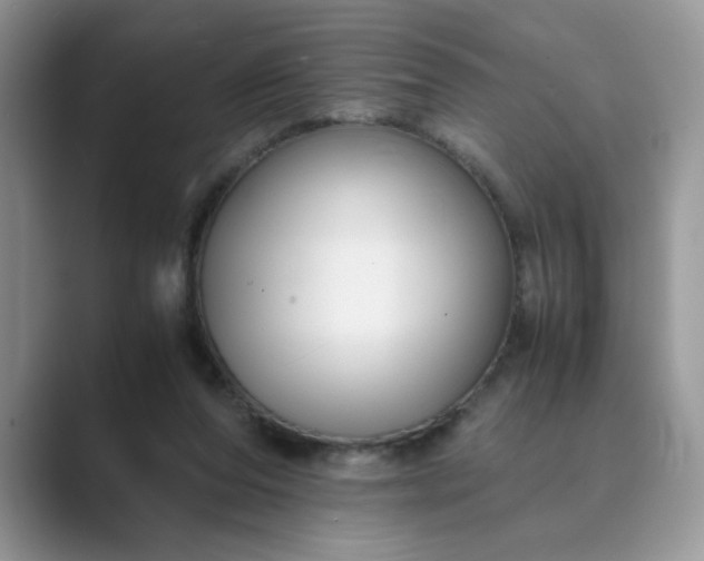 X0000089670208200707051554