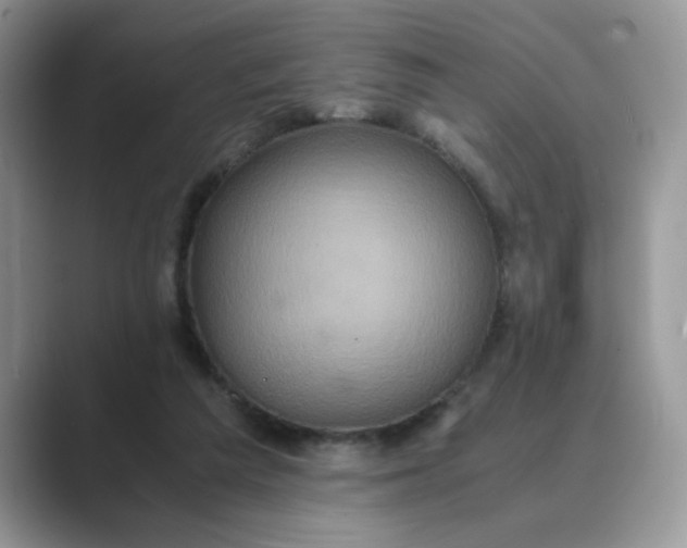 X0000089670209200707051554