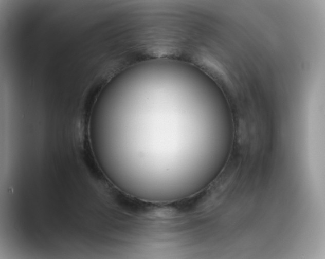 X0000089670210200707051554