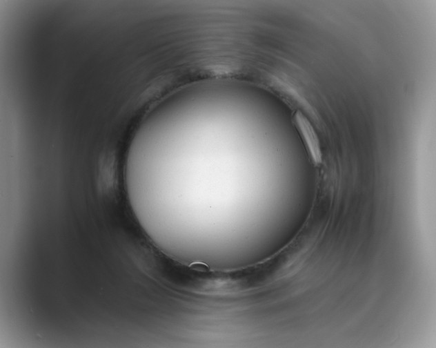 X0000089670212200707051554