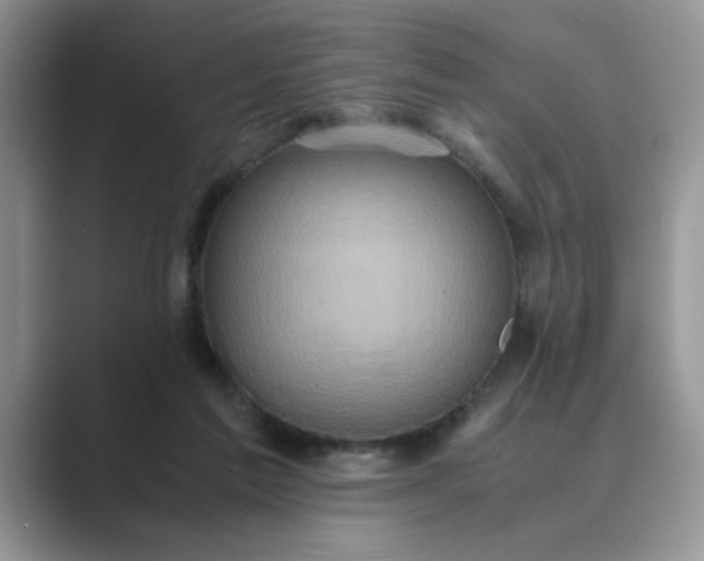 X0000089670213200707051554