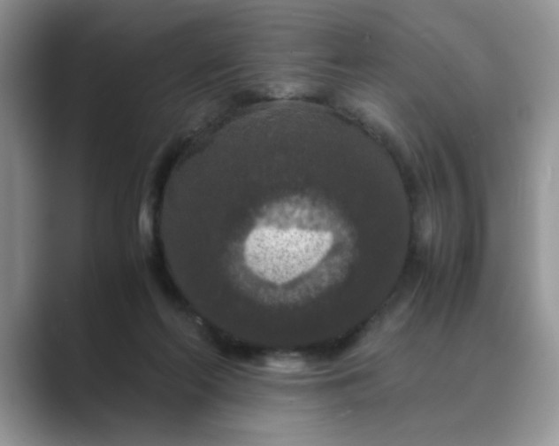 X0000089670214200707051554