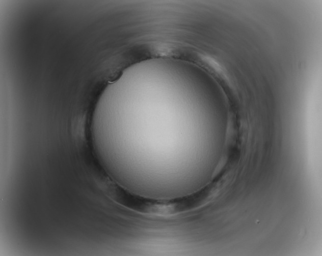 X0000089670217200707051554