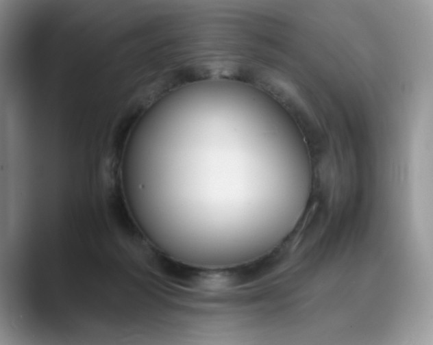 X0000089670218200707051554