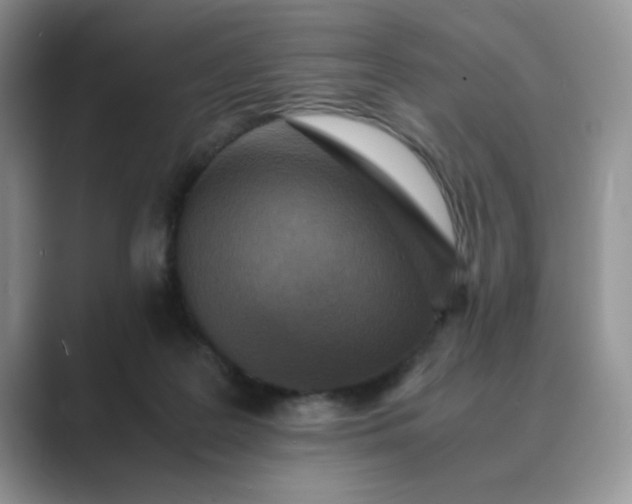 X0000089670219200707051554