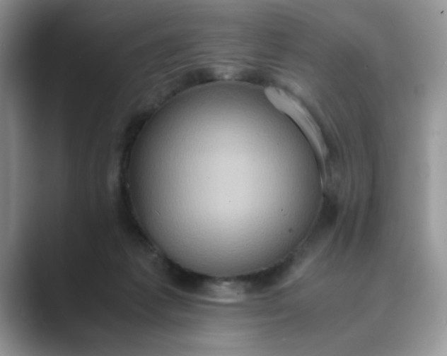 X0000089670221200707051554
