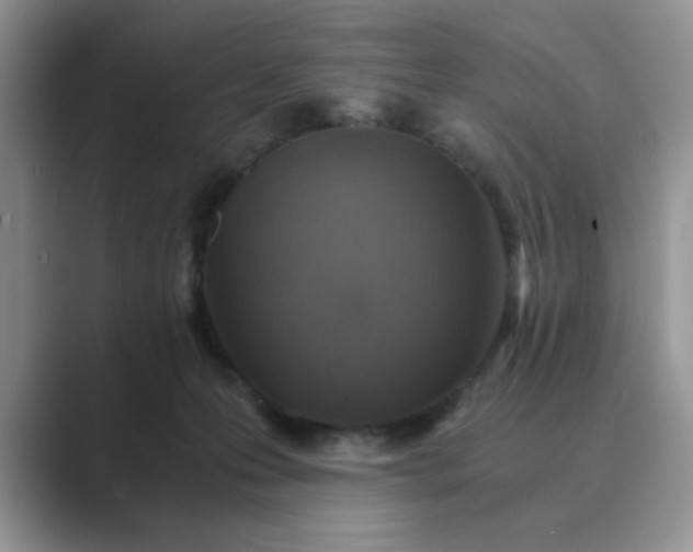 X0000089670223200707051554