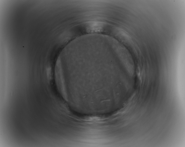 X0000089670224200707051554