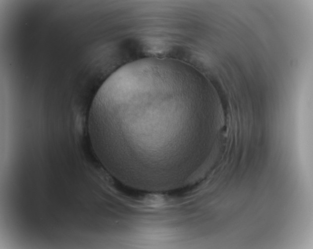 X0000089670227200707051554