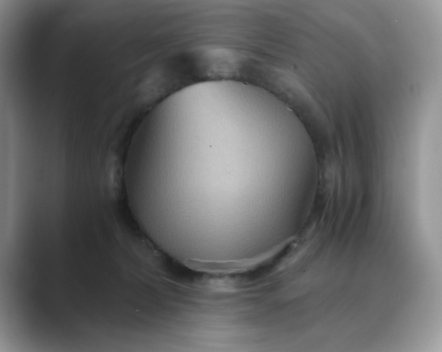 X0000089670228200707051554