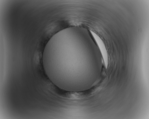 X0000089670229200707051554