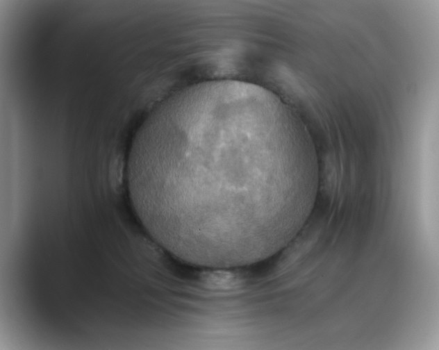 X0000089670230200707051554