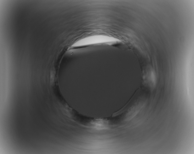 X0000089670231200707051554