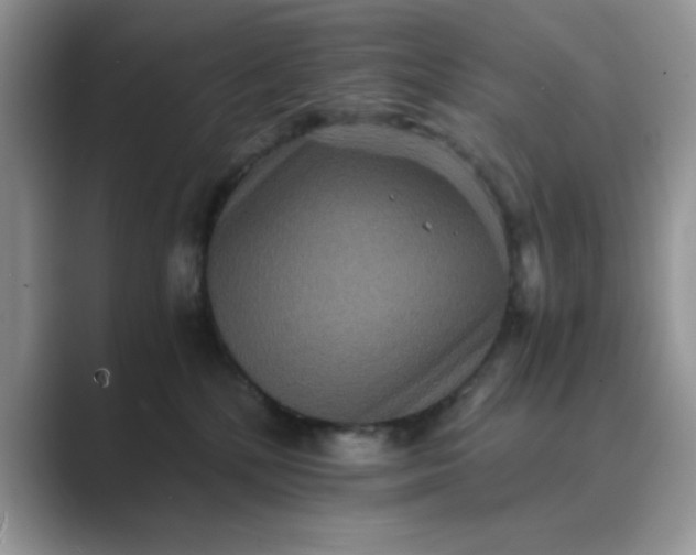 X0000089670232200707051554