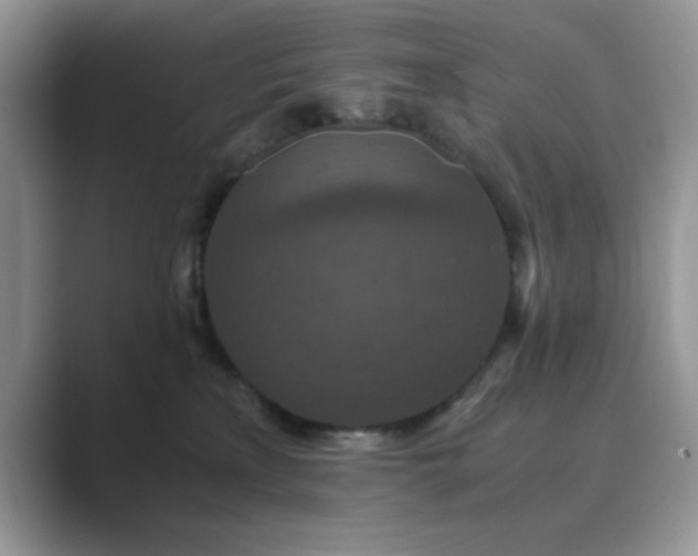 X0000089670233200707051554