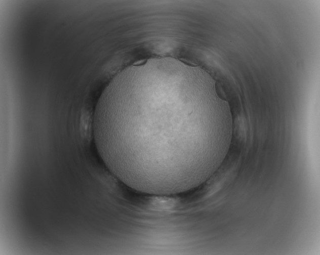 X0000089670234200707051554