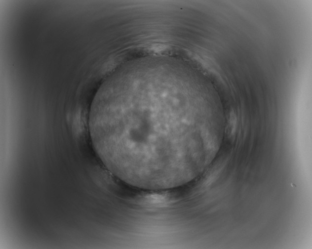 X0000089670236200707051554