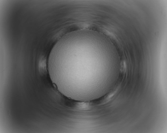X0000089670238200707051554