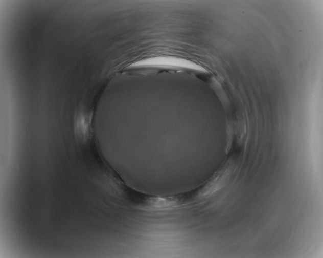 X0000089670239200707051554