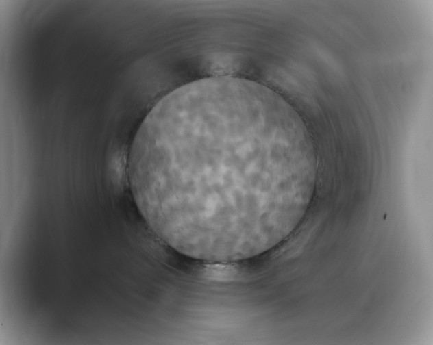 X0000089670240200707051554