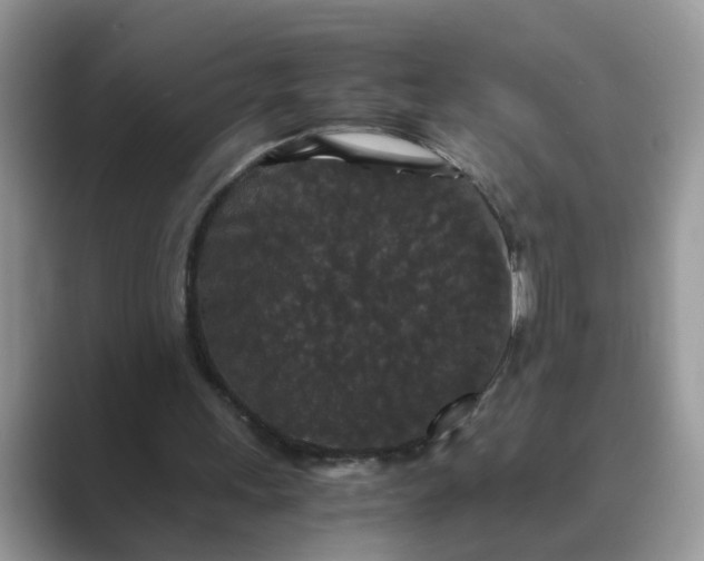 X0000089670243200707051553