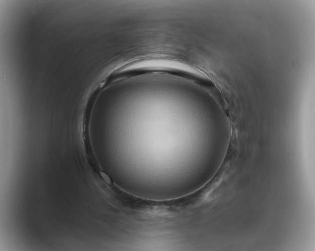 X0000089670244200707051553