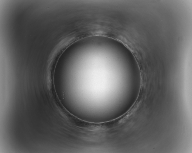 X0000089670245200707051553