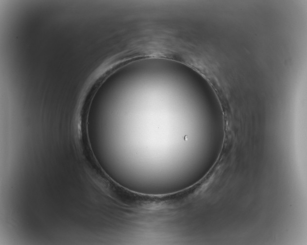 X0000089670246200707051553