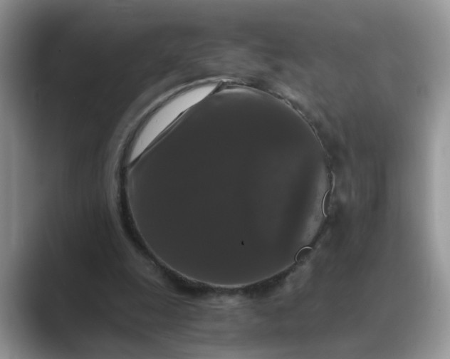X0000089670247200707051553