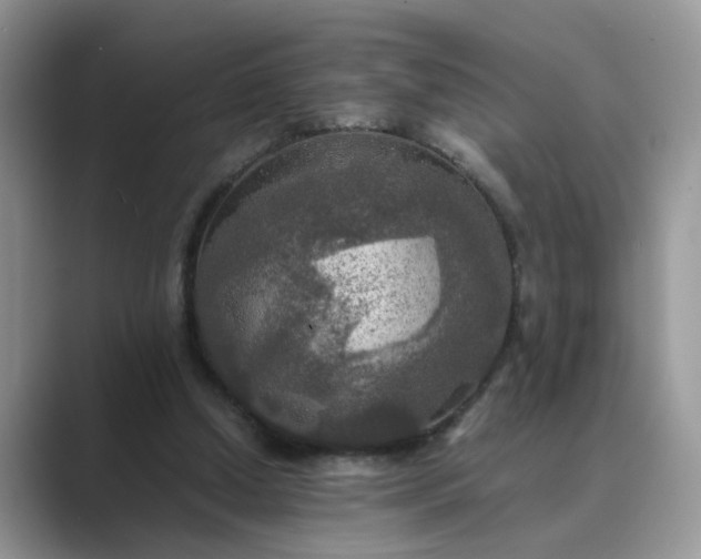 X0000089670250200707051553