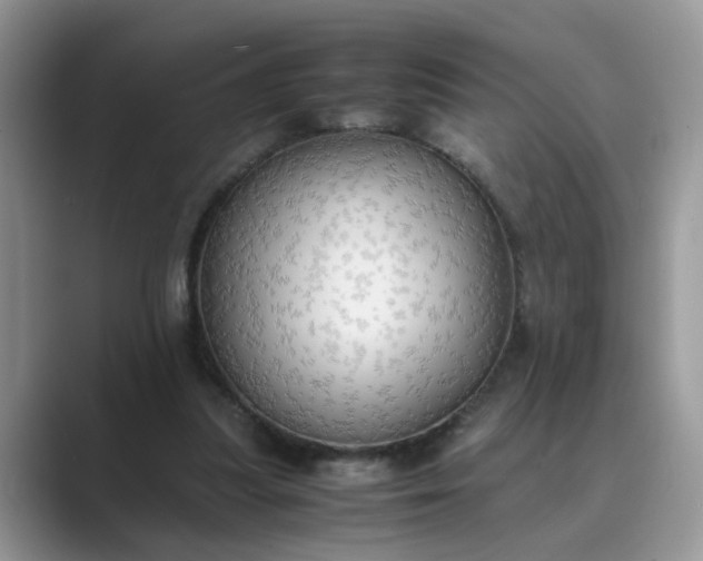 X0000089670251200707051553
