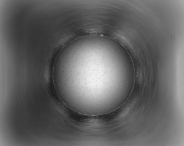X0000089670255200707051553