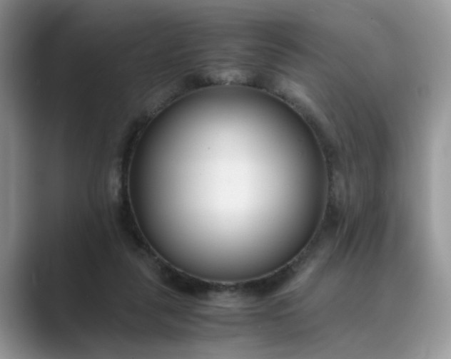 X0000089670259200707051554