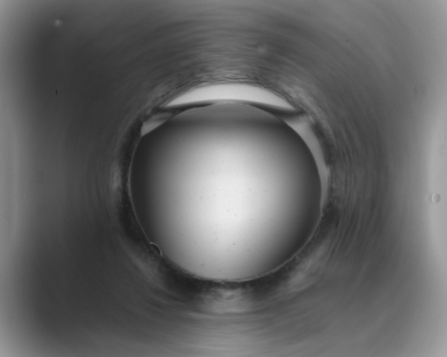 X0000089670260200707051554