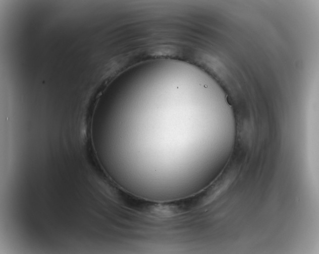 X0000089670261200707051554