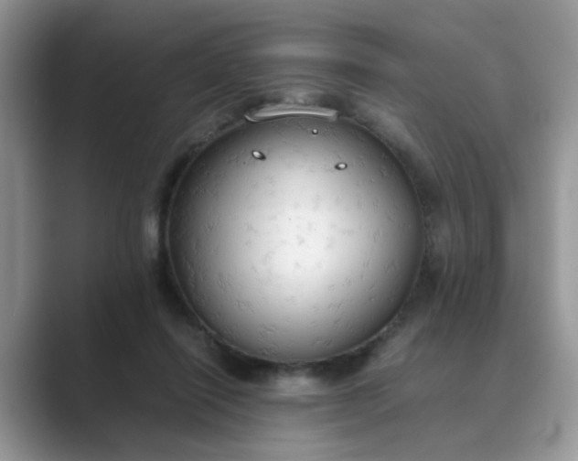 X0000089670262200707051554