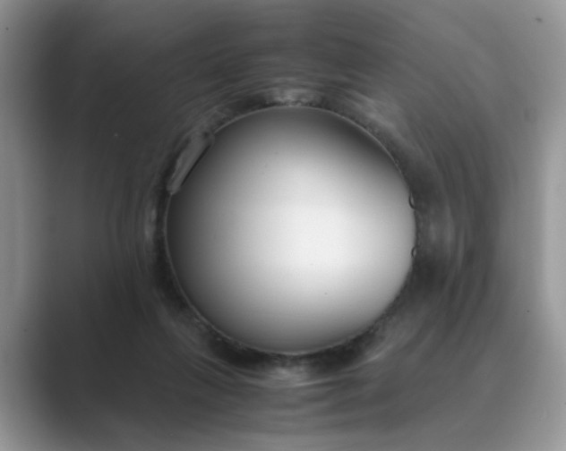 X0000089670263200707051554