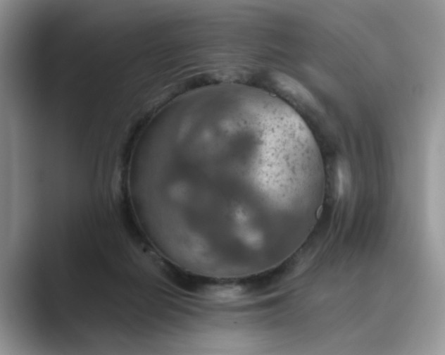 X0000089670266200707051554