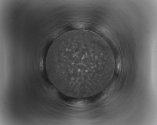 X0000089670267200707051554