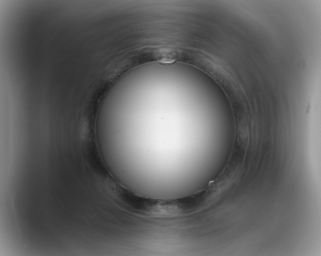 X0000089670270200707051554