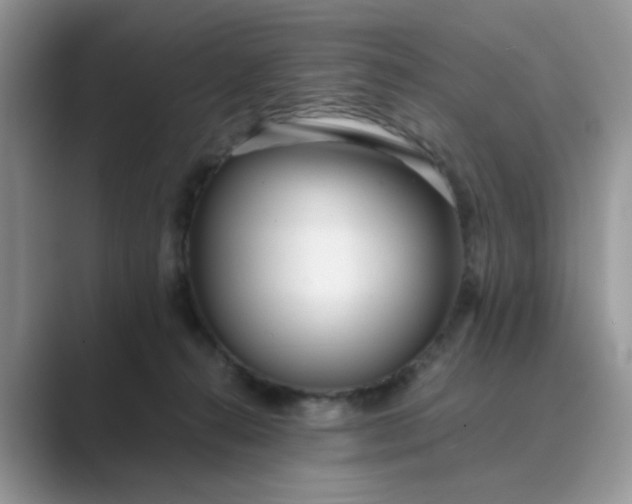 X0000089670272200707051554