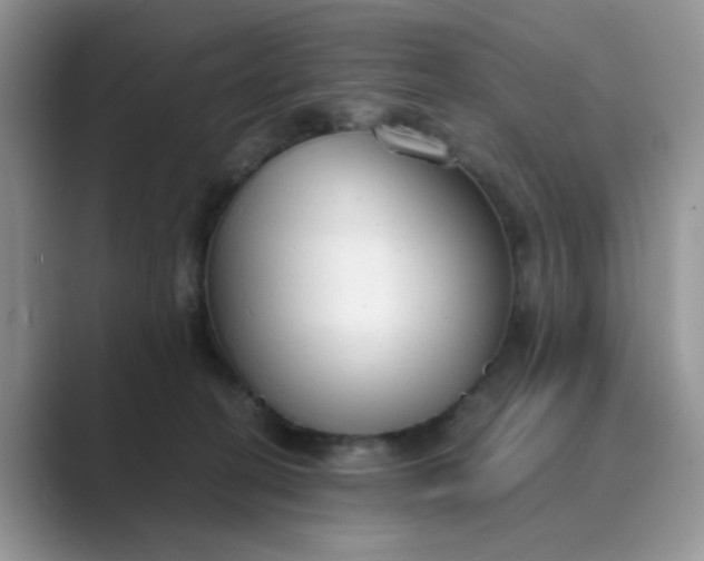 X0000089670274200707051554