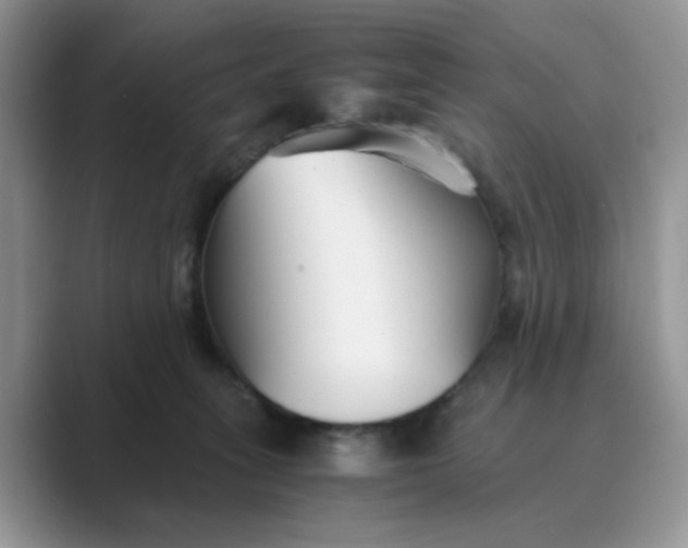 X0000089670275200707051554