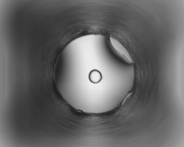 X0000089670276200707051554
