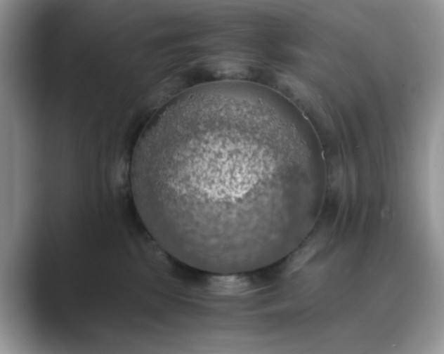 X0000089670281200707051554