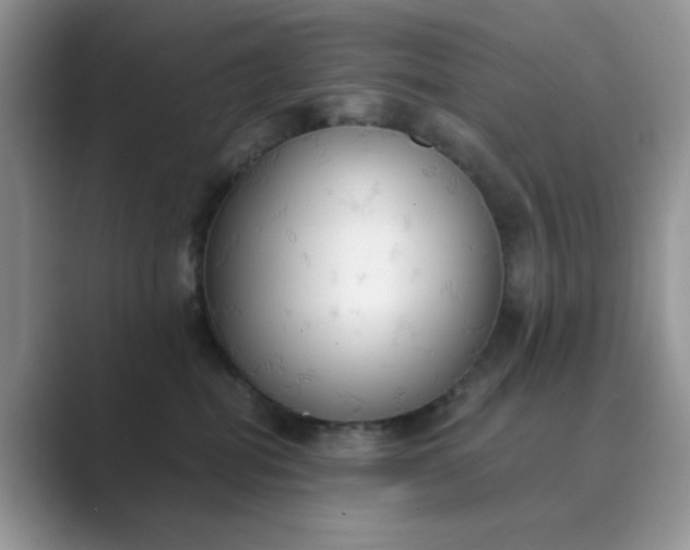 X0000089670282200707051554