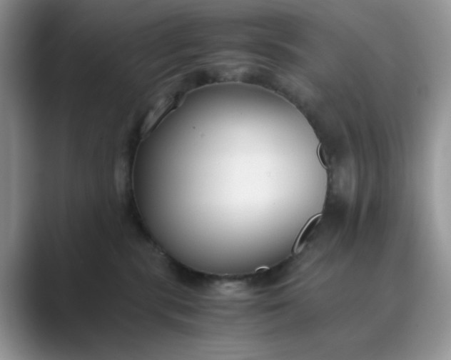 X0000089670283200707051554